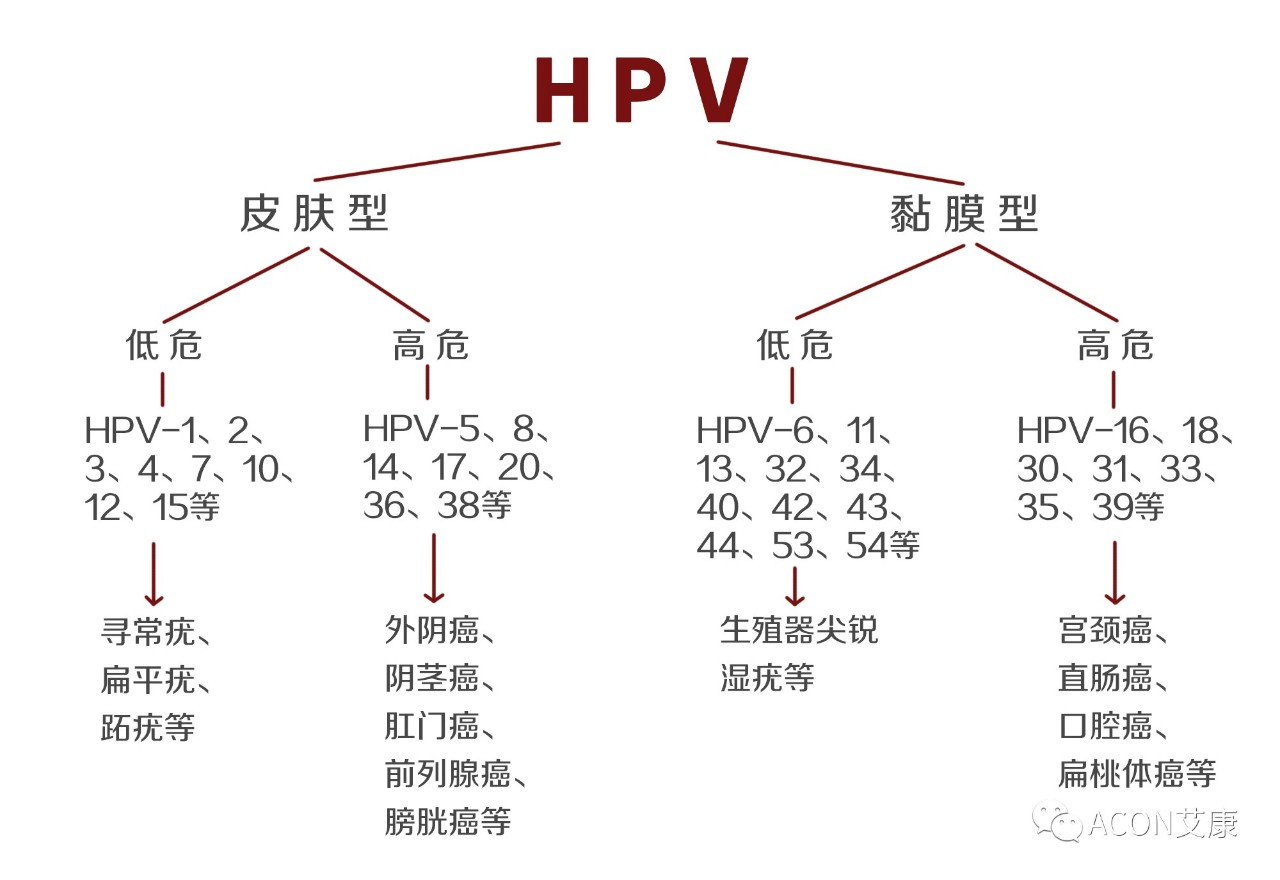 HPV疫苗有必要打吗？二价、四价、九价要如何选择！