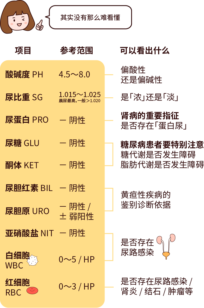 排尿黄、异味大，可能是身体在报警！